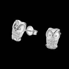Cubic Zirconia & Silvertone Owl Stud Earrings - streetregion