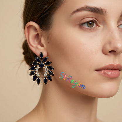 Black Crystal & Cubic Zirconia Curved Stud Earrings