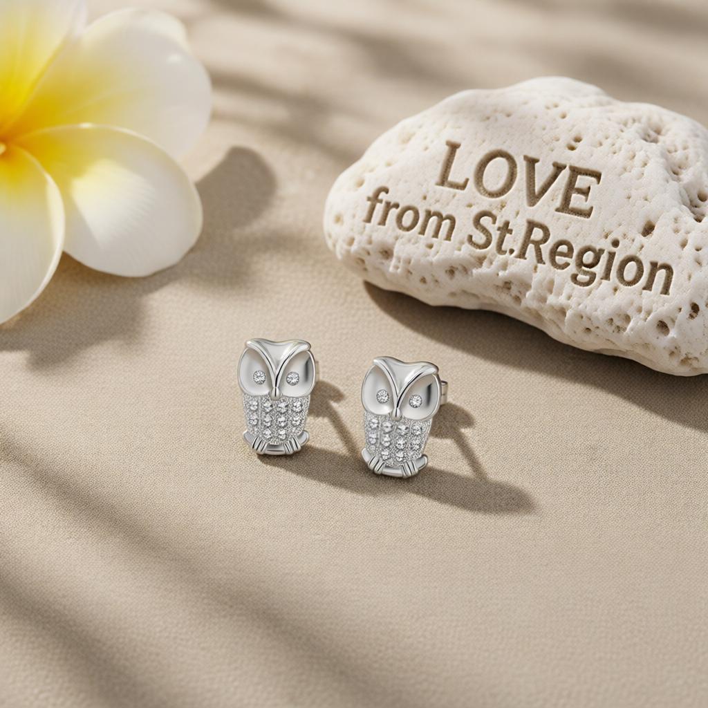 Cubic Zirconia and Silver-Plated Owl Stud Earrings, cubic zirconia stud earrings for women, everyday style, lifestyle look