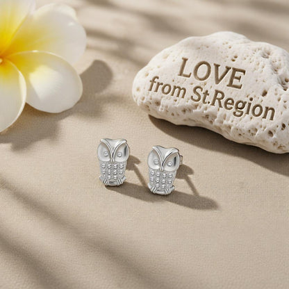 Cubic Zirconia and Silver-Plated Owl Stud Earrings, cubic zirconia stud earrings for women, everyday style, lifestyle look