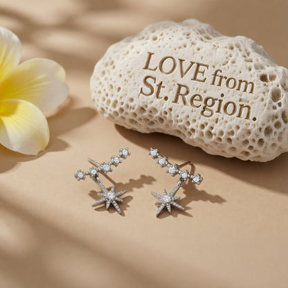 Cubic Zirconia and Silver-Plated Star Ear Climber, silver drop earrings for women, botanical inspired, lifestyle look