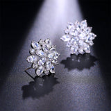 Cubic Zirconia & Crystal Silver-Plated Snowflake Stud Earrings