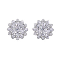 Cubic Zirconia & Crystal Silver-Plated Snowflake Stud Earrings