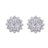 Cubic Zirconia & Crystal Silver-Plated Snowflake Stud Earrings