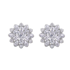 Cubic Zirconia & Crystal Silver-Plated Snowflake Stud Earrings