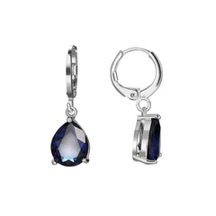 Navy Crystal & Silver-Plated Teardrop Earrings