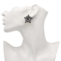 Gray Crystal Star Stud Earrings