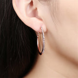 Cubic Zirconia & 18k Rose Gold-Plated Hoop Earrings - streetregion