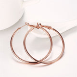 Rose Goldtone Hoop Earrings - streetregion