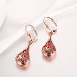 Rose Goldtone Long Drop Earrings - streetregion