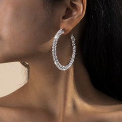 Cubic Zirconia & Silver-Plated Hoop Earrings