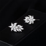 Cubic Zirconia & Silver-Plated Leaf Cluster Stud Earrings