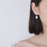 Clear Princess Cut Crystal & Cubic Zirconia Silver-Plated Drop Earrings