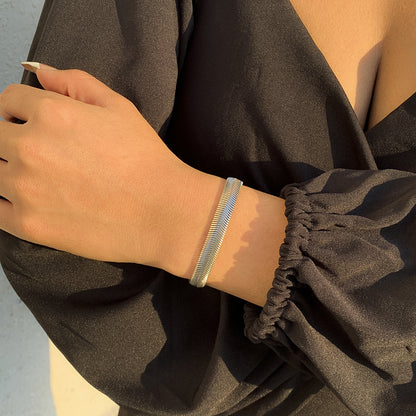 Silver-Plated Snake Chain Bracelet, silver bracelet for women, vintage-inspired design, front view