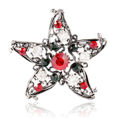 Red Cubic Zirconia & Silver-Plated Star Brooch