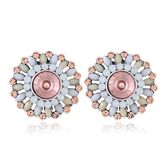 Champagne Crystal & Cubic Zirconia Round Stud Earrings