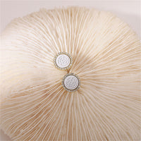 Cubic Zirconia & White Rose Round Stud Earrings