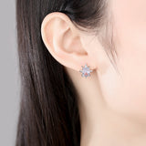 Cubic Zirconia & Crystal Silver-Plated Star Stud Earrings