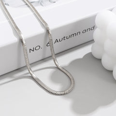 Silver-Plated Snake Chain Necklace