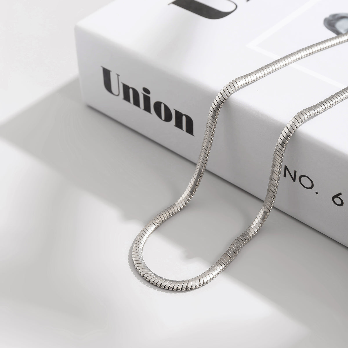 Silver-Plated Snake Chain Necklace