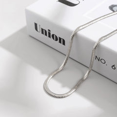 Silver-Plated Snake Chain Necklace